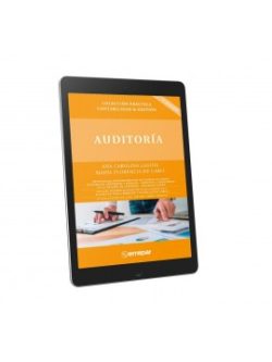 Auditoría - Ebook